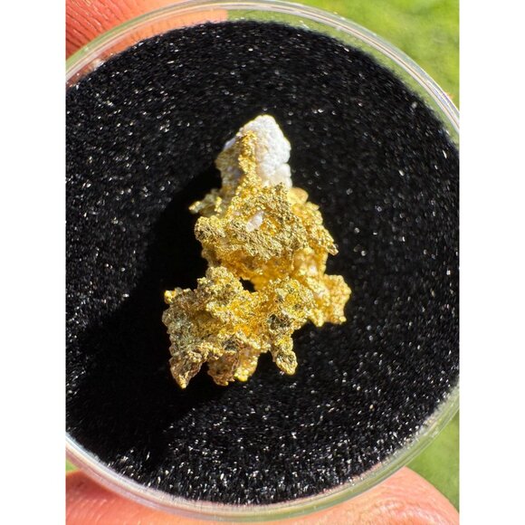 California Native Gold Crystal - 0.84 grams - Picture 4 of 5